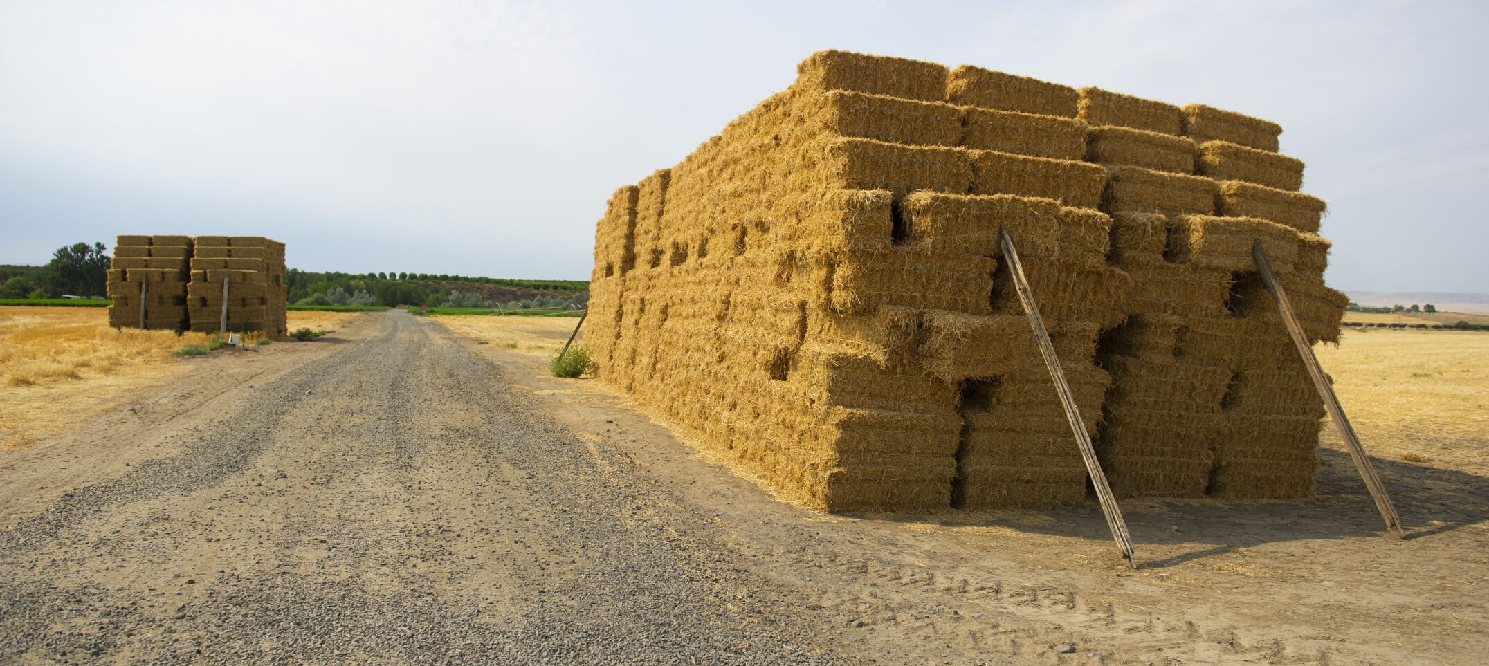 Hay and Drought